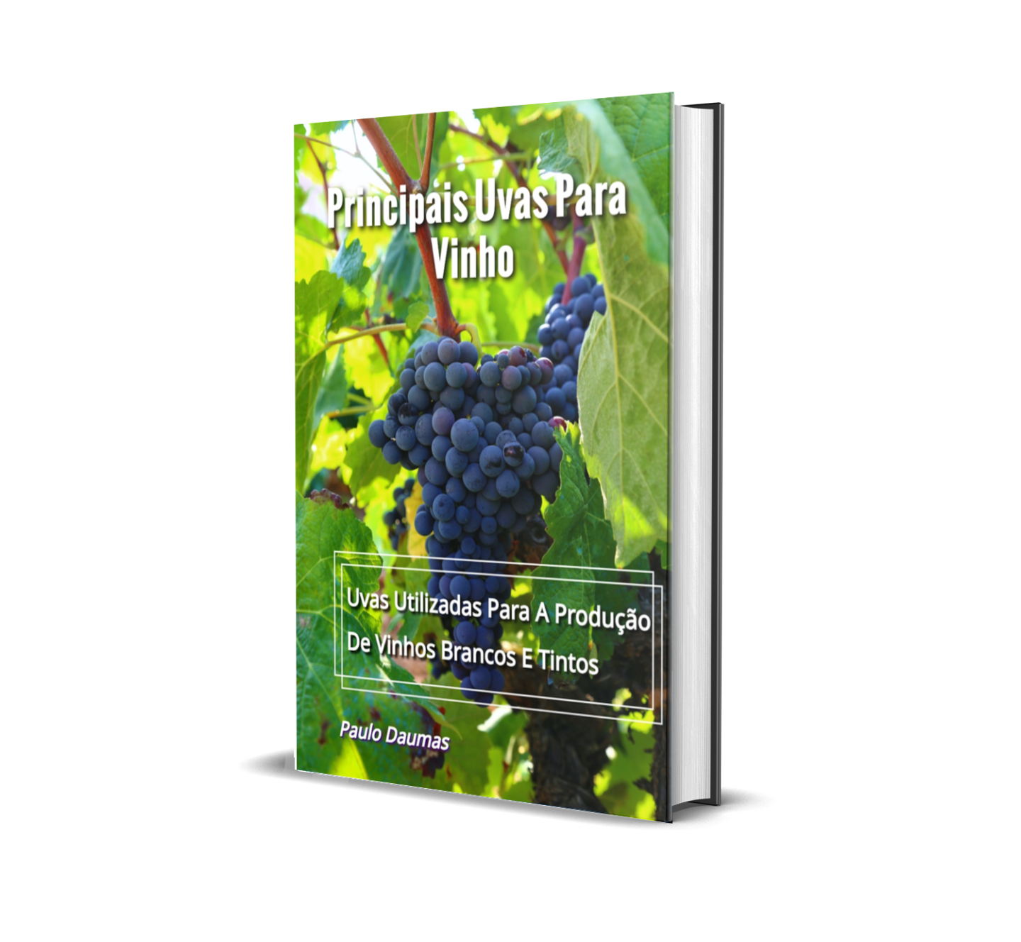 Ebook Principais Uvas Para Vinhos - GastroVino Academy